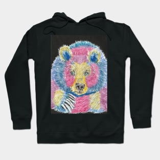 Colorful bear Hoodie